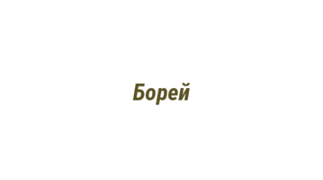 Логотип компании Борей