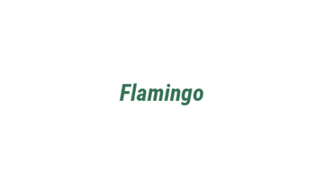 Логотип компании Flamingo