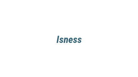 Логотип компании Isness