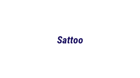 Логотип компании Sattoo