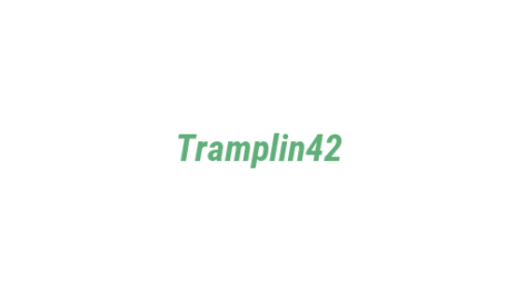 Логотип компании Tramplin42