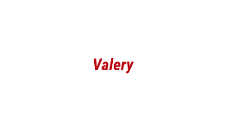 Логотип компании Valery