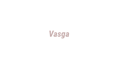 Логотип компании Vasga