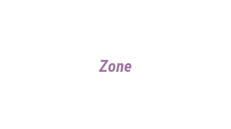 Логотип компании Zone